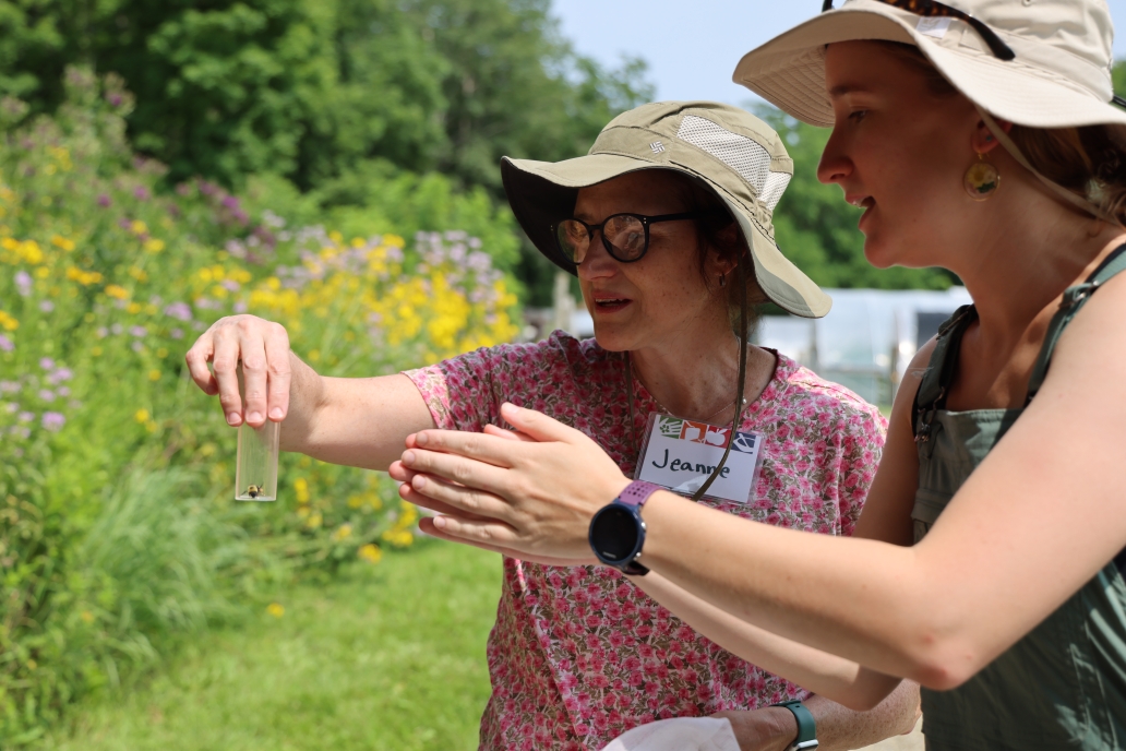Leslie Spencer at Immersion pollinator safari