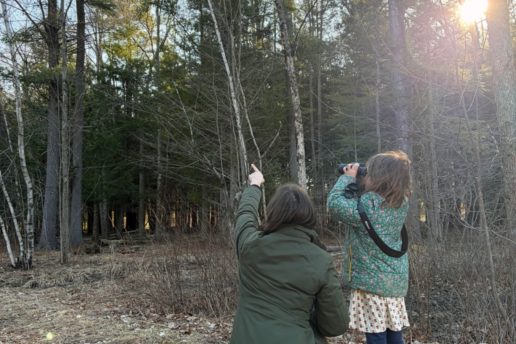 family bird walk