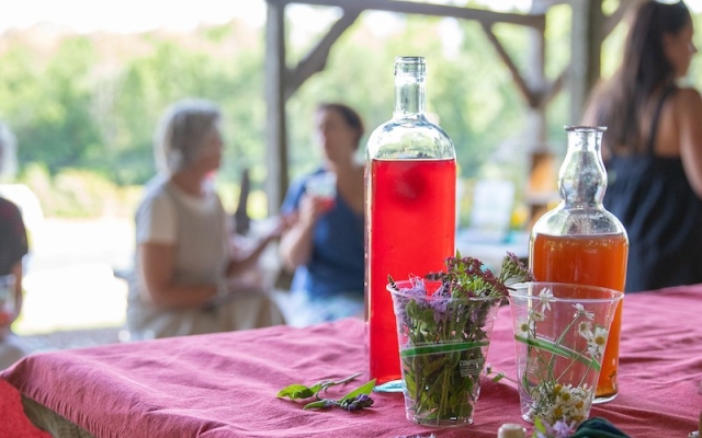 herbal spritzer at market garden