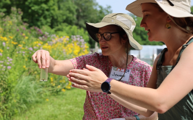 Leslie Spencer at Immersion pollinator safari