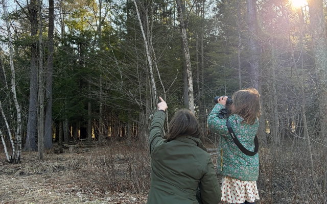 family bird walk